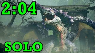 Chameleos HBG Solo 204  MH RISE v30 [upl. by Doak]