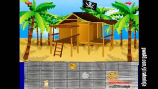 Pirate Ninja Escape walkthrough [upl. by Elconin]