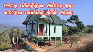 Thrill Nadugani Forest Stay Gudalur  Genepool Jungle Stay  Jolly Trip [upl. by Yllime144]