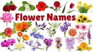 Learn Flowers Name for Kids  Flowers Name in English  flowers name with pictures flowers [upl. by Haneehs]