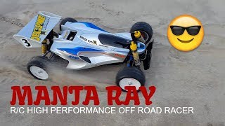 Tamiya MANTA RAY 110 4WD fun at the BEACH [upl. by Grani]