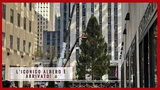 Christmas tree L’ARRIVO DELL’ALBERO DI NATALE al Rockefeller Center 🎄 [upl. by Andres]