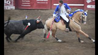 Stockton bullfights this weekend [upl. by Kamat]