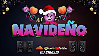 MIX NAVIDEÑO 2022Sal y perreaHay que bueno4KFielNo me conoceLindaPerraNAVIDAD 2021 MIX [upl. by Elvyn]