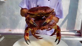 Norwegian brown crab The best Vietnamese food in the world  best cooking [upl. by Fokos140]