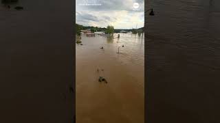 Major flooding in Asheville after Helene [upl. by Ryan]