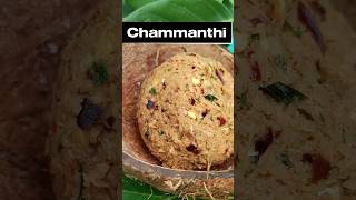 சம்மந்தி  Chammanthi  GGs Dream chammandhi chammanthirecipe [upl. by Kowatch]