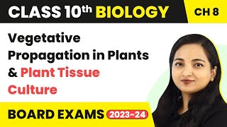 Vegetative Propagation in Plants and Plant Tissue Culture  Class 10 Biology Chapter 8 [upl. by Bren279]