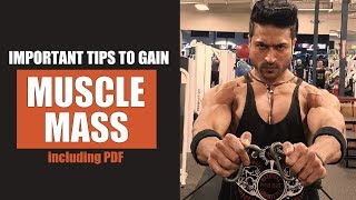 Important Tips to Gain MUSCLE MASS by Guru Mann including PDF [upl. by Trah]