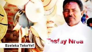 Tesfay Nrea Eritrea Bahlawi guayla 🎤🎹🎸🎷 [upl. by Vitale56]