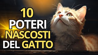 10 POTERI NASCOSTI DEI GATTI 😺 [upl. by Vaules]