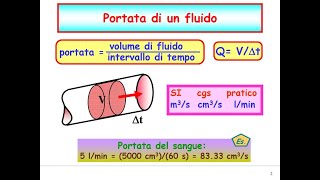 La dinamica dei Fluidi presentata da Mirking [upl. by Leuams594]