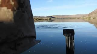 Learn How to Catch Sturgeon on the Snake River [upl. by Aiza]