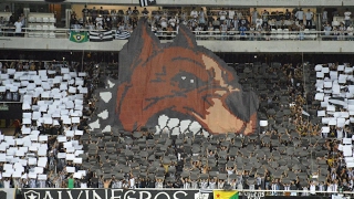 Torcida do Botafogo Botafogo x Colo Colo [upl. by Grussing940]