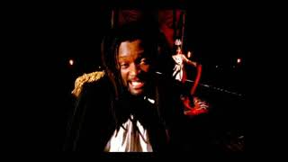 Lucky Dube  Feel Irie Official Music Video [upl. by Nitnilc184]