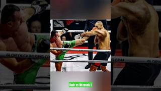 BADR HARI VS WRZOSEK KO  ART [upl. by Arymahs]