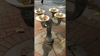 Wheres the quotBubblerquot Quick History of Drinking Fountains  Marcs Misc Short [upl. by Aicinoid487]