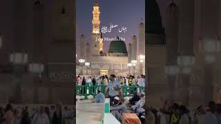 Wo Shehr e Mohabbat  New Beautiful Naat Sharif  Zohaib Ashrafi [upl. by Wilkens]