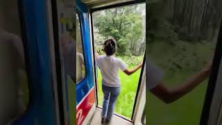 Travel girl with her shadow ලස්සන ගමනක අසිරිය travelgirl traveling love 2024shorts newvideo [upl. by Eldnik]