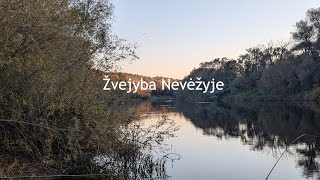 Žvejojam Nevėžyje Ir Beveik Nieko Nepagaunam [upl. by Galan]