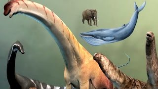 Paleontology News How Sauropods Grew So Big [upl. by Fitzpatrick622]