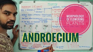 Androecium  Morphology of Flowering Plants [upl. by Shirk]