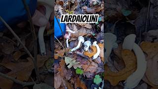 Funghi Lardaioli quotHygrophorus Penarioides quot 🍄‍🟫 HygrophorusPenarioides Lardaioli LardaioloBianco [upl. by Alexander]