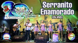 Serranito enamorado  Esplendidos de Salvia En vivo en Lima [upl. by Gerhardt657]