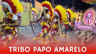 Tribo Indígena Papo Amarelo 2024 Desfile Oficial Carnaval Tradição de João Pessoa PAPOAMARELO [upl. by Anayhd]