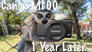 Canon M100  1 Year Later [upl. by Cita]