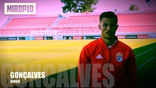 DIOGO GONCALVES ✭ BENFICA ✭ THE NEXT LUIS FIGO ✭ Skills amp Goals ✭ 2017 ✭ [upl. by Ennairol]