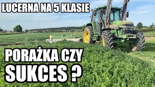 JAK NAPRAWDĘ WYGLĄDA LUCERNA W PIERWSZYM ROKU [upl. by Ralston]