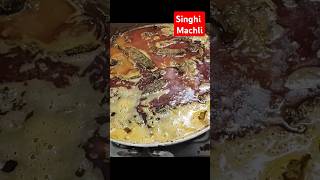 Singhi Machli trending singhimachli food truckdrivevlogs fish cooking truck dailyvlogs [upl. by Schulze304]