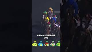 THROWBACK THURSDAY Animal Kingdoms Comeback in Dubai [upl. by Sualokcin761]