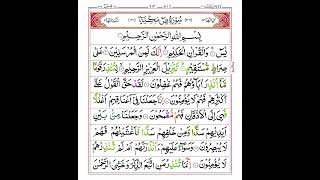 Surah Yasin new Dil Kash Tilawat e Quran most Biutiful voice [upl. by Carie]