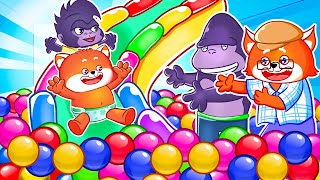 Ball Pit Fun For Kids  Kids Learn Safety Tips  Kids Songs And Nursery Rhymes by Zee Zee [upl. by Ruddie]