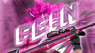 FEN  Valorant Montage [upl. by Noillid]