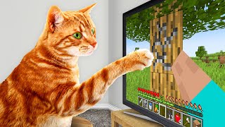 I Taught My Cats to Beat Minecraft in Real Life [upl. by Dnomyar]