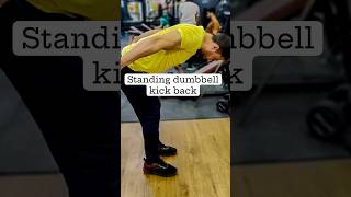 How To Do Standing Tricep Dumbbell Kickback  Exercise Demonstration Video and Guide [upl. by Rollecnahc]