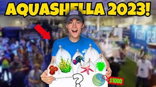 AQUASHELLA Daytona 2023 BUYING NEW CORALS [upl. by Dnamra940]