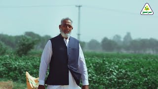 Mian Abdul Ghaffar  Bahawalpur  Cotton  Sarsabz Fertilizer [upl. by Oliver]