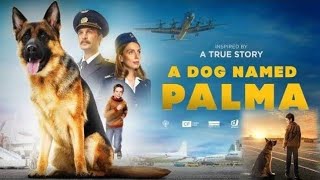 A Dog Named Palma Full Movie Facts amp Review  Viktor Dobronravov [upl. by Lebam]