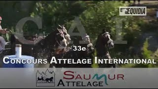 CAI de Saumur 2017 [upl. by Hadley]