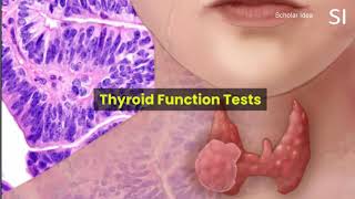 Thyroid Function Tests [upl. by Alisan28]