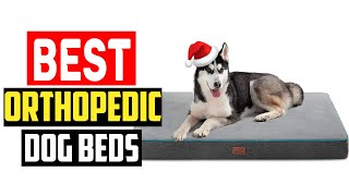 ✅Top 5 Best Orthopedic Dog Beds For 2024 [upl. by Holmes815]