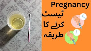 Pregnancy test  Pregnancy Test kaise karte hain  how to check pregnancy test at home [upl. by Dot931]