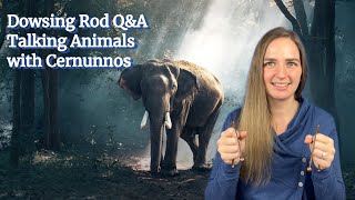 Dowsing Rod QampA  Questions about Animals for Cernunnos a Celtic God of Animals [upl. by How419]