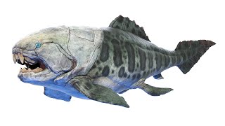 Dunkleosteus Dinosaur [upl. by Liscomb]