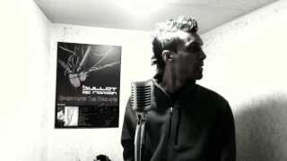 Blue Stahli  The Fall Bullet of Reason VOX COVER [upl. by Mich143]