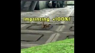 PART 1 100 Ark Imprinting Settings for MEDIUM Dinos shorts BlowoutGaming arkguide [upl. by Devitt]